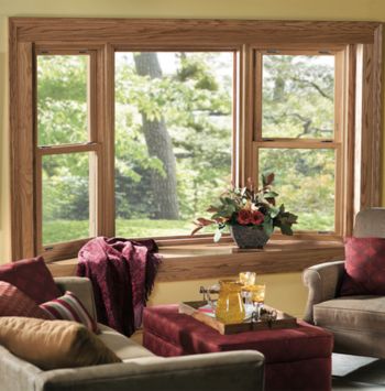 Bay Windows